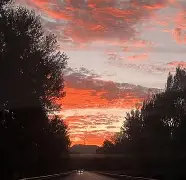 点dzptvsainhihg43x1 点dzptvsainhihg43x1